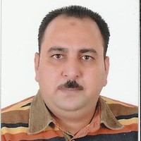 Hossam Eldin Hassanin