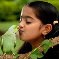 Obillaneni Raghavendra Chowdary