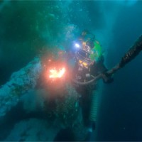 Yordano Mogollón Farias