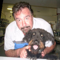 gordon rosenberg