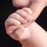 刘晓燕