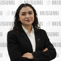 Diana Martha Olmos Pichardo