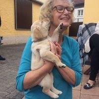 Brigitte Klos