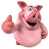 Jake Pigg