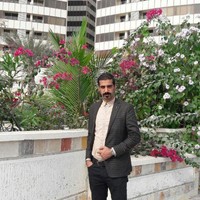 Arash Mirzajani