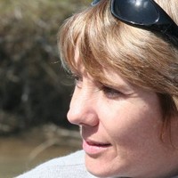 Catherine N