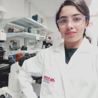 Hedieh Fallahi, Phd