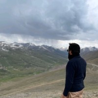 Muhammad Hamza Saeed