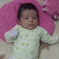 alcides rodriguez