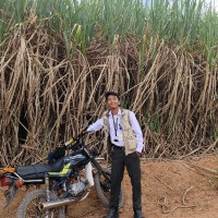 Nugraha Putra Pratama Sinurat