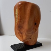 Seanna O'Boyle-Irvine