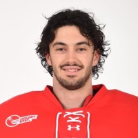 Vincent Duplessis