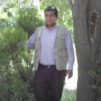 Zabihullah Ansari