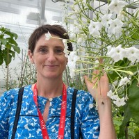 Deborah Lambkin