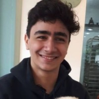 Sina Madani