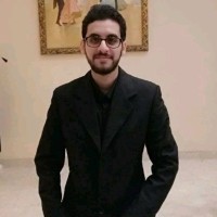 Bahaa EL-Sayed