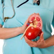 Dr Alex Mohan Kidney Center