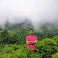 Mohammad Hadi Kosari