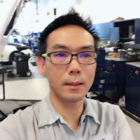 Ken Fung