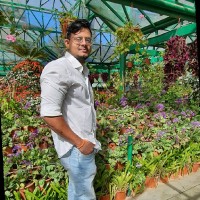 Ram Porchezlion