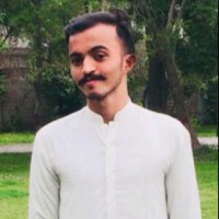 Faisal Nafees