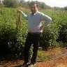 Jandail Singh