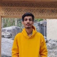 Hassam Majeed