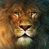 Lion Video Home