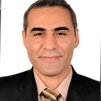mohamed arafa