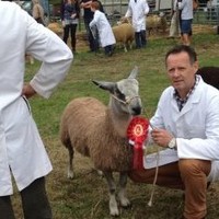 Eifion Thomas