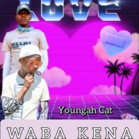 Young Cat