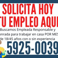 Empleos Domésticos