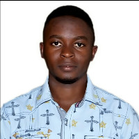 Oluwafemi Festus Ariyo