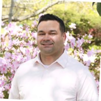 Mark Mitchell, Gisp