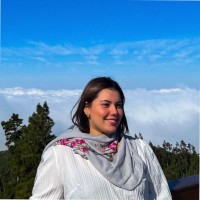 Laíssa Donadai Revelin