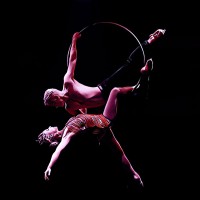 Caitlin Marion Tomson-Moylan