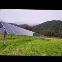 Ricardo Alejandro Crespo Montaner