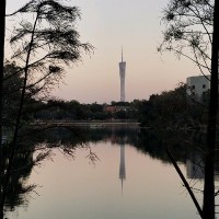 叶清华