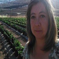 Patricia Castañeda Díaz
