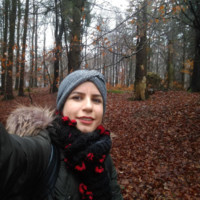 Vahideh Elhami