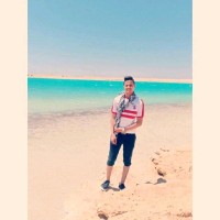 Omar Mohamed Meizar Ahmed