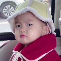 李红莉