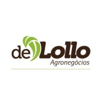 Keuly de Lollo Agronegócios