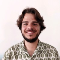 Afonso Dinis