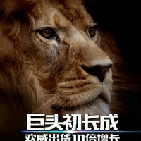 王天富