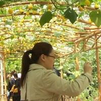 任冬梅