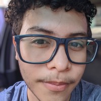 Luis Ernesto Ramirez Arana