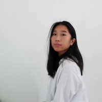 Thu Anh Vo