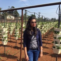 Megha Patel