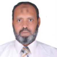 Samir Elsayed
